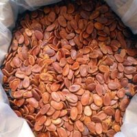 Hạt Dưa không phẩm màu (Nha Trang)