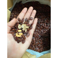 HẠT DƯA RANG CỦI ĐẶC BIỆT HÙNG KÝ