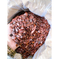 Hạt dưa rang củi Quảng Ngãi 500gr