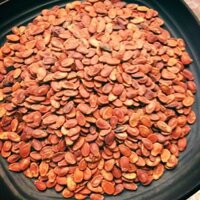 HẠT DƯA RANG CỦI