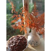 Hạt dưa sạch Đăk Lăk không phẩm màu,  thơm, bùi, béo từng hạt