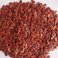 Hạt dưa thái sơn túi 500gr hạt vừa - giòn dễ cắn