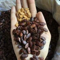 Hạt dưa tho k phẩm màu