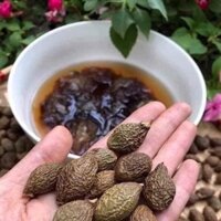 hạt đười ươi 500g