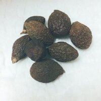 Hạt Đười Ươi Bay 500gram loại 1