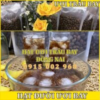 Hạt Đười Ươi  Bay _ Loại Hạt Uơi Trâu Bay _ Thương Hiệu Hạt Uơi Trâu Bay Đồng Nai