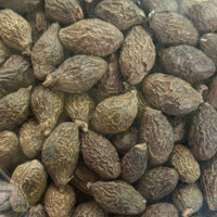 HẠT ĐƯỜI ƯƠI LOẠI 1(500G-1KG)