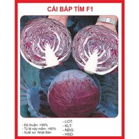 Hạt Giống Bắp Cải Tím F1