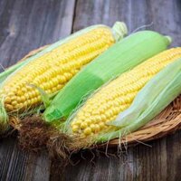 Hạt Giống Bắp (Ngô) Mỹ - 10 Gram