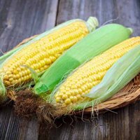 Hạt Giống Bắp (Ngô) Mỹ - 10 Gram