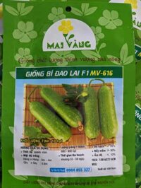 Hạt giống Bí Đao Chanh, Bí Ngồi Xanh F1 10 hạt - Bí đao chanh 10 hạt