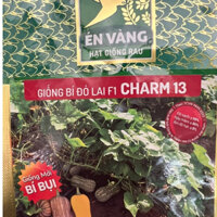 Hạt Giống Bí Đỏ Bụi lai F1 Charm 13 (Gói 100 Hạt)