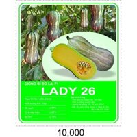 HẠT GIỐNG BÍ ĐỎ DÀI LAI F1 LADY26 (GÓI 10GR)