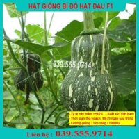 Hạt Giống Bí Đỏ Hạt Đậu F1 Gói 2Gram  Bí Cô Tiên