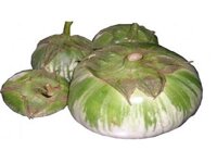 Hạt giống cà bát xanh