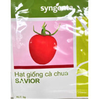 Hạt giống cà chua savior - Syngenta, 5g
