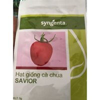 Hạt giống cà chua SAVIOR Syngenta gói 5gram