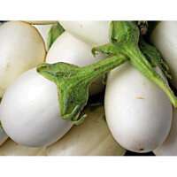 HẠT GIỐNG CÀ PHÁO TRỨNG TRẮNG - 1 GRAM