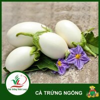 Hạt giống Cà Trứng ngỗng TN 215 - 1g