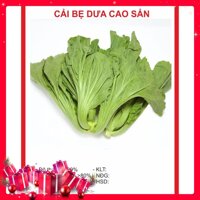 Hạt giống Cải Bẹ Dưa 20gr