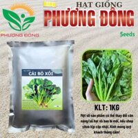 Hạt giống Cải Bó Xôi (GÓI 1KG) chịu nhiệt, sinh trưởng khỏe, trồng quanh năm - Hạt giống King Phương Đông