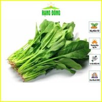 Hạt Giống Cải Bó Xôi Rau Chân Vịt Dễ Chăm Sóc, Trồng Được Quanh Năm - Hạt giống Rạng Đông