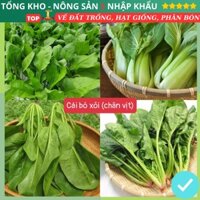 Hạt Giống Cải Bó Xôi (Rau Chân Vịt) F1 (gói 500g,1kg) Loại dễ trồng, năng suất cao, có hướng dẫn