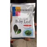 hạt giống cải mù tạt baby leaf nhật bản