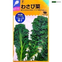 Hạt Giống Cải Mù Tạt Wasabi F1 Takii Hạt Bọc Men Nhập Khẩu Nguyên Gói Nhật Bản - Gói 200 Hạt - Nảy 99% (ns)