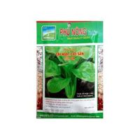 Hạt giống Cải ngọt cao sản