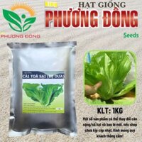 Hạt giống Cải (Tòa Sại) Bẹ Dưa (GÓI 1KG)  cao sản, trồng quanh năm, dễ chăm sóc - Hạt giống King Phương Đông