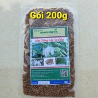 Hạt Giống Cây So Đũa (Gói 200g) - Hạt Giống Nảy Mầm Tốt