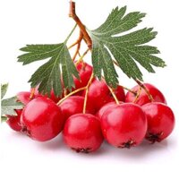 HẠT GIỐNG CÂY TÁO GAI - 1 Gói