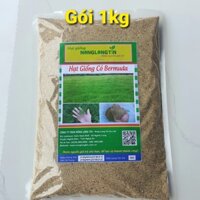 Hạt Giống Cỏ Bermuda (Gói 1kg) - Cỏ Thảm Đảm Bảo Nảy Mầm Tốt