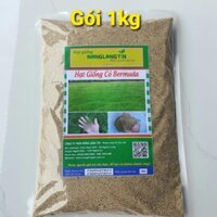 Hạt Giống Cỏ Bermuda (Gói 1kg) - Cỏ Thảm Đảm Bảo Nảy Mầm Tốt