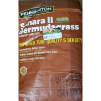 Hạt giống cỏ bermuda
