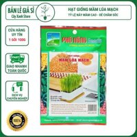 Hạt Giống Cỏ Lúa Mì Mầm Lúa Mạch Dễ Trồng, Thơm Ngon, Nhanh Thu Hoạch - Gói 100gr