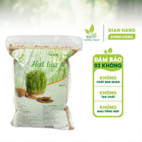 Hạt giống cỏ lúa mì Viet Healthy Túi 3kg