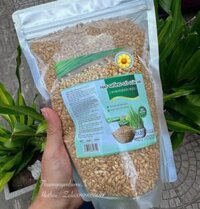 Hạt giống cỏ lúa mỳ 1kg