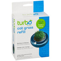 Hạt giống cỏ mèo Bergan Turbo Scratcher