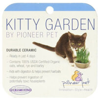 Hạt giống cỏ mèo Pioneer Pet Ceramic