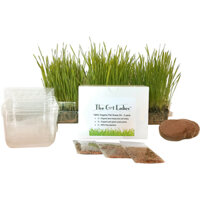Hạt giống cỏ mèo The Cat Ladies Organic Pet Grass Growing Kit With Containers