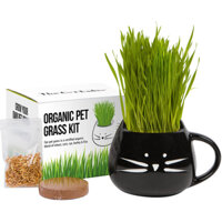 Hạt giống cỏ mèo The Cat Ladies Organic