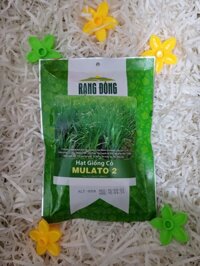 Hạt Giống Cỏ Mulato 2 100G