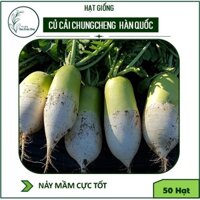 Hạt Giống Củ Cải Hàn Quốc CHUNG CHEONG 50 Hạt