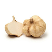 HẠT GIỐNG CỦ ĐẬU ( CỦ SẮN ) GÓI 1KG _ CỦ TO ĐỀU ĐẸP, TỶ LỆ NẢY MẦM CAO