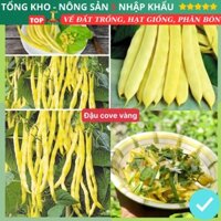Hạt Giống Đậu Cove Vàng F1 (Gói 200g, 500g, 1kg) Loại Siêu Dễ Trồng Dễ Chăm Sóc