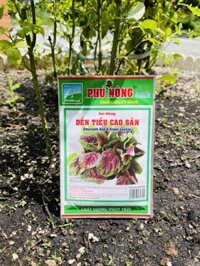 Hạt giống Dền Tiều Phú Nông gói 20gram