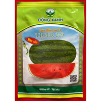 Hạt giống DƯA HẤU LAI F1 ĐỒNG XANH TIGER-279, gói 20gram(~ 600hạt)