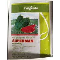 Hạt giống dưa hấu lai F1 SUPERMAN Syngenta gói 20gram